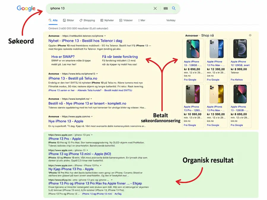Google søkeresultat med søkeord, betalt søkeordannonsering og organisk resultat markert